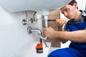 Best Drain Cleaning and Unclogging  in Craig, AK